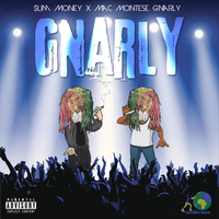 GNARLY - $lim Money & Mac Montese
