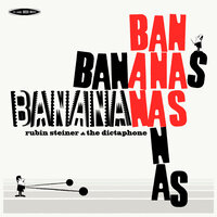 GENERIQUE DE FIN - RUBIN STEINER & THE DICTAPHONE