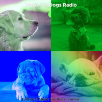 Wonderful Ambience for Training Dogs - Music for Dogs Radio