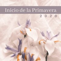 Sol Tímido - meditación Interna
