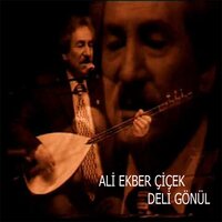 Dost Katına Vardı İse - Ali Ekber Çiçek