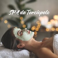 Todo Está Bajo Control - Academia de Música para SPA