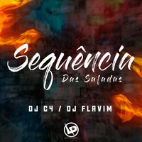 Sequência das Safadas - DJ FLAVIM & DJ C4