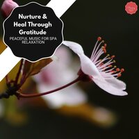 Simple N Amazing - Serenity Calls
