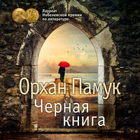 Орхан Памук. «Черная книга». Часть 25 - Александр Воронов