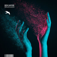 Human - Ben Haydie