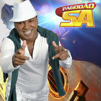 Metamorfose Ambulante - Pagodão SA