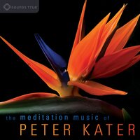 Heart Chakra - From the Album Light Body - Peter Kater