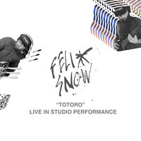 Totoro - Felix Snow