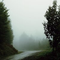 Gazing - Classical New Age Piano Music & Calming Rainforest Sounds & Sleep Rain