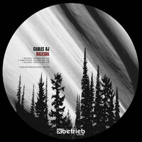 Beatngu - Carles DJ