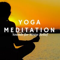 Underwater Sounds - Yoga Break