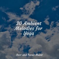 Soothing Southern Sounds - Echoes of Nature & Study Power & Sleepy Night Music