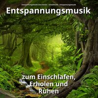 Wohlige Freude - Entspannungsmusik Sina Donen & Schlafmusik & Entspannungsmusik