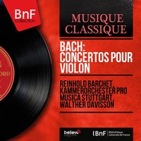 Violin Concerto in A Minor, BWV 1041: II. Andante - Walther Davisson & Reinhold Barchet & Helma Elsner & Kammerorchester Pro Musica Stuttgart & Reinhold Barchet, Kammerorchester Pro Musica Stuttgart, Walther Davisson, Helma Elsner & Johann Sebastian Bach