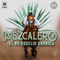 La pata de bola - El RG Rogelio Garnica