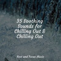 Calm Voice of Nature - Ocean Sounds & Sleep Sounds Of Nature & Entspannungsmusik