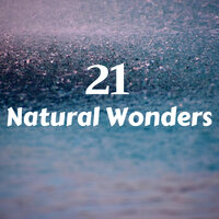 Sounds from Nature - Natural Sounds Experts