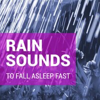 Rain Noise to Sleep To - Rain Sounds & Rain Sounds For Sleep & Rain Sounds for Sleep and Relaxation