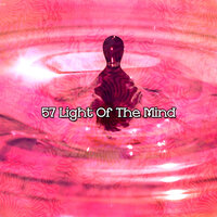Serenity Blessing - White Noise Research