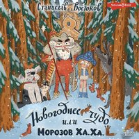 Станислав Востоков. «Новогоднее чудо, или Морозов Ха. Ха.». Часть 5 - Валентин Кузнецов