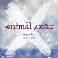 Можешь лететь - Animal ДжаZ & Аффинаж