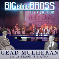 I Get a Kick out of You - Dominique Rieux & Gead Mulheran & Big Band Brass