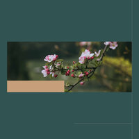 Tasteful Calm Times - Musica per Studiare