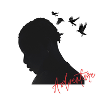 Adventure - Toro