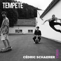 Le Renard et le petit Prince - Cédric Schaerer Trio