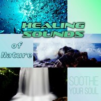 A Peaceful Music (Emotional Health) - Evening Chill Out Music Academy