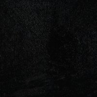 Paimon Theme - ELI