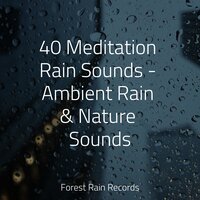 Tranquil Seas - Spa & Rain Drops for Sleep & Deep Sleep Relaxation