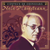 Aoleo, Fire-As Al Dracu - Nelu Ploiesteanu
