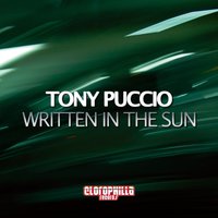 Written in the Sun - Tony Puccio