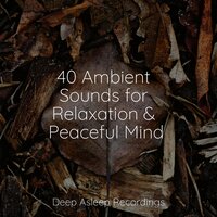 Calming Chakras - Sounds Of Nature Relaxation & Musica Relajante Para Estudiar & Spa Relaxation