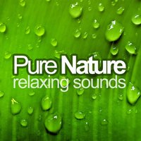The Scent of Spring - pure nature