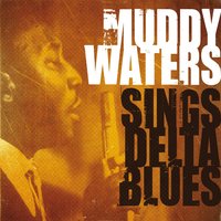 Forty Days and Forty Nights - Muddy Waters & Little Walter