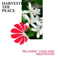 Ten Quarters - Spa Zen Melodies & Spa Music Paradise