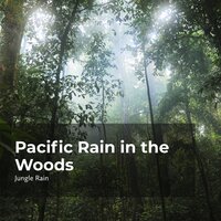 Silent Jungle Ambience - Nature and Rain & Deep Rain Sampling & Jungle Rain