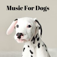 Food Coma - Music for Dogs & Music for Dogs Peace & Relaxing Puppy Music & Calm Pets Music Academy