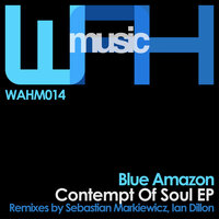 We Are Here - Blue Amazon & Sebastian Markiewicz