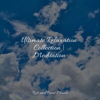 Moonlit Pleasures - Yoga Tribe & Serenity Spa Music Relaxation & White Noise Meditation