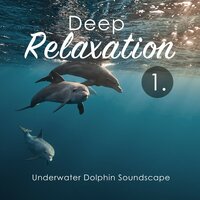 Underwater Dolphin Soundscape, Pt. 5 - Craig Hewitt