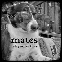 play the fool - MATES