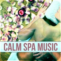 Pure Focus (Divine Spa) - SPA & Wellness Massage Masters