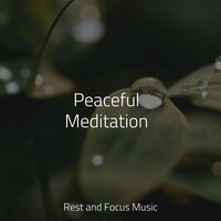 Soothing Wind - Spa Music Collective & Native American Flute & Alpha Brain Waves