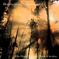 Sonata for Violin and Piano,  in A Minor, Op.  105: III. Lebhaft - Rudolf Serkin & Роберт Шуман