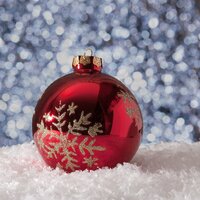 Holiday Wishes - Native American Flute, Christmas Party Academy, Trouble Sleeping Music Universe & Native American Flute & Trouble Sleeping Music Universe & Christmas Party Academy