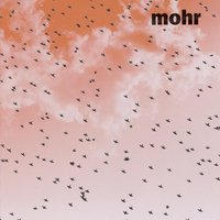 Eva - Mohr